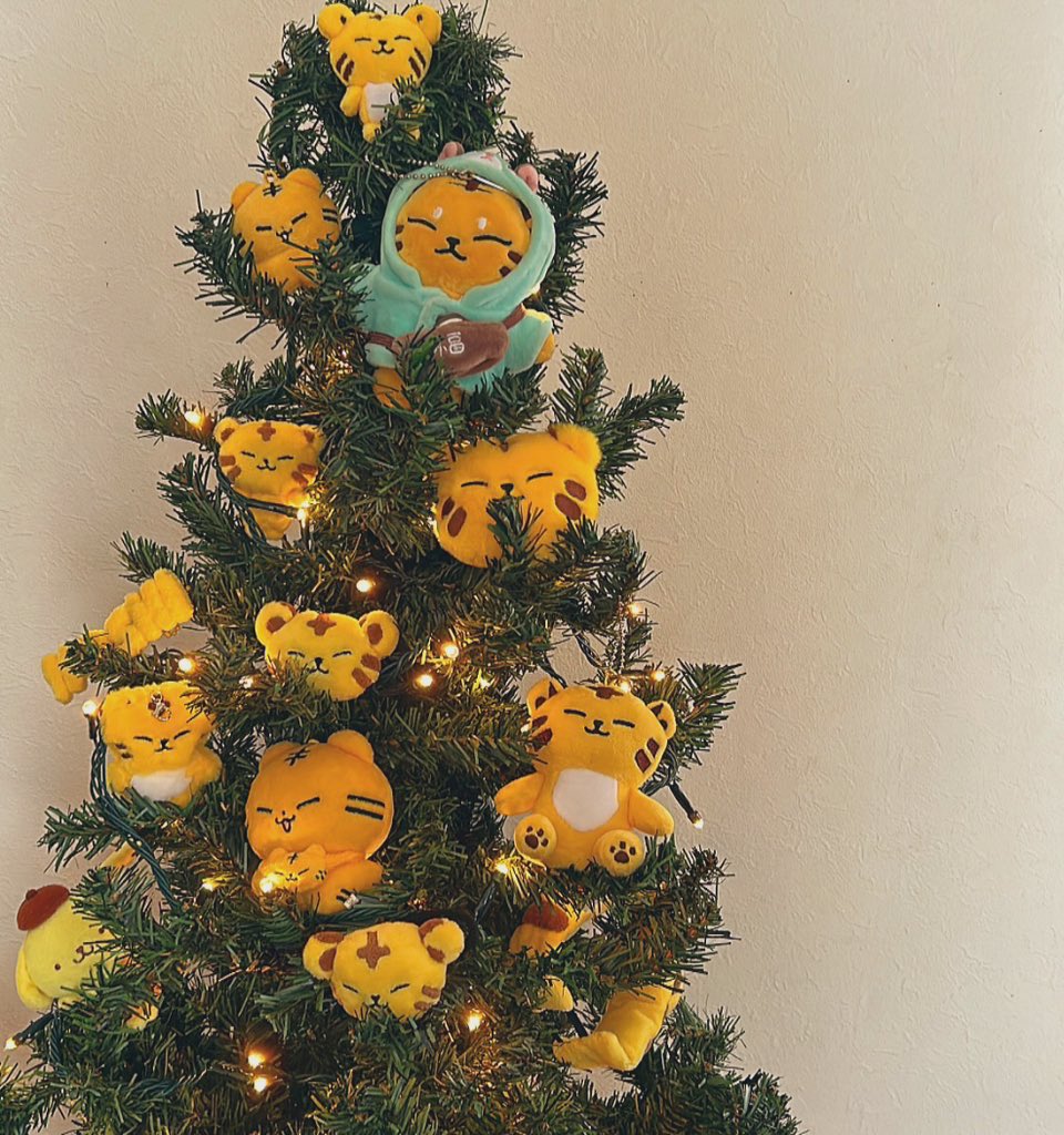 mino___615's tweet image. ずぼらなので枝はひらかないホシくんツリ〜。今年もギリギリに出すスタイル