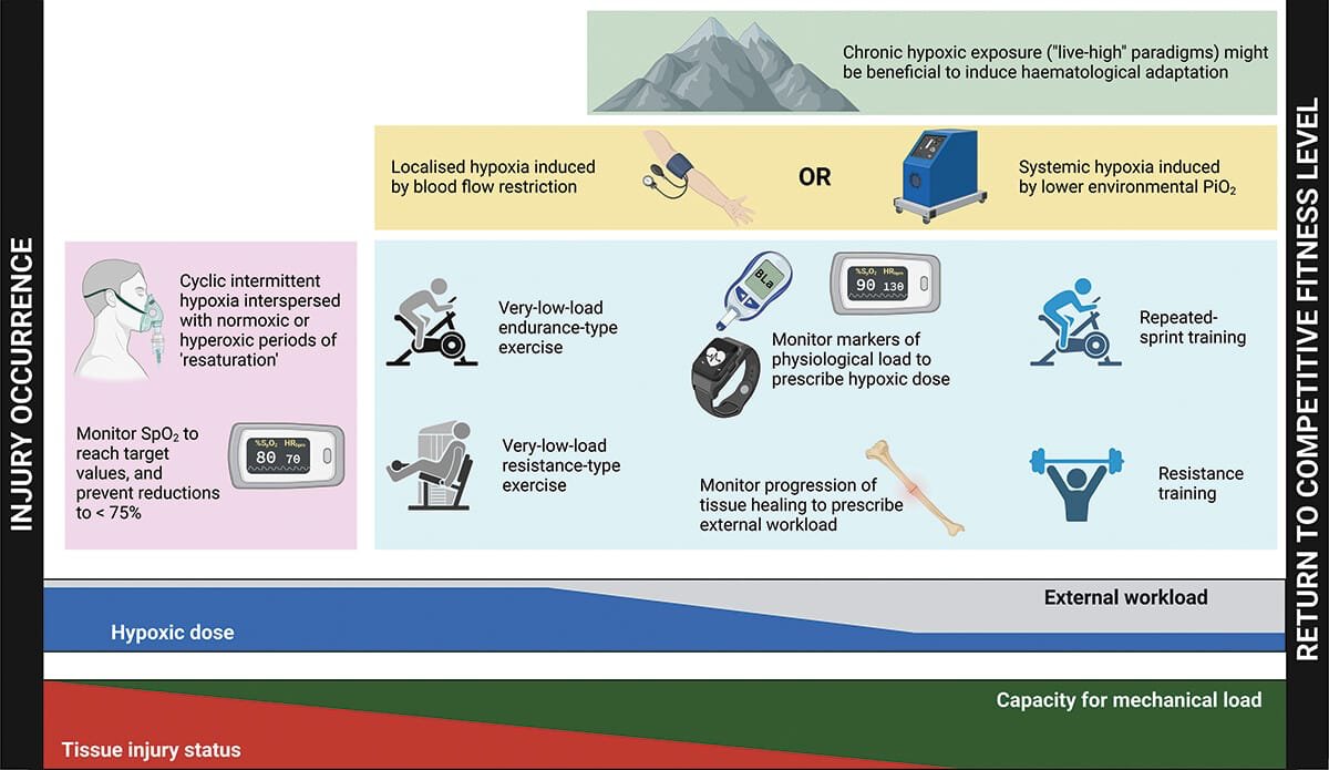 Potential Application of Hypoxic Modalities Throughout The Injury Rehabilitation Process

tandfonline.com/doi/full/10.10…

<a href="/Retlouping/">ɹǝʇlnoԀ pıʌɐᗡ 🚴🏻 🇺🇸 🇦🇺 🇬🇧</a> <a href="/TDekkersPhysio/">Thomas Dekkers | Spinal Specialist Physiotherapist</a> <a href="/PhysioMeScience/">Physio Meets Science</a> <a href="/tomgoom/">Running-Physio</a> <a href="/DerekGriffin86/">Derek Griffin</a> <a href="/BillingMartin/">Martin Billing</a>