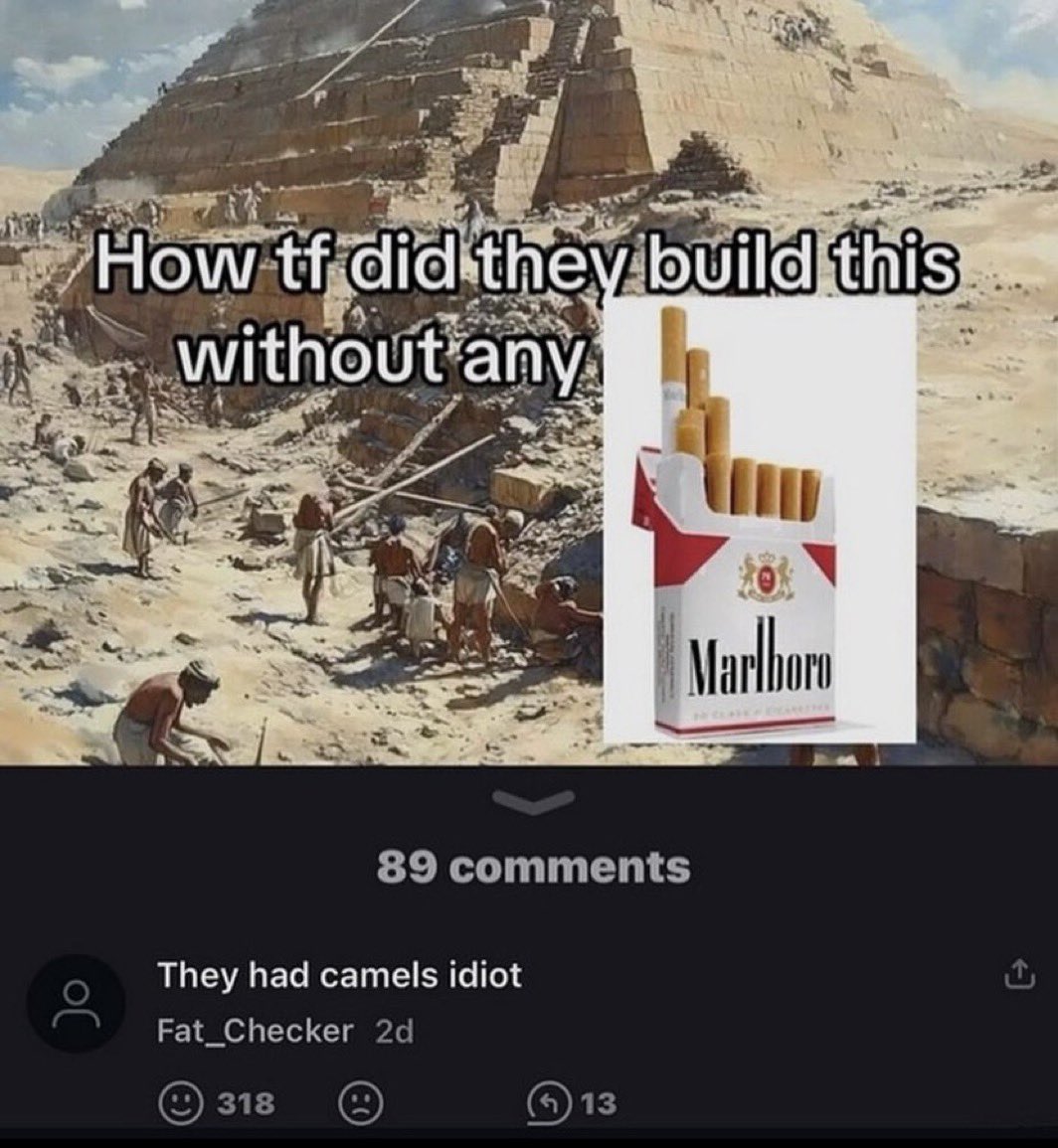 shitpost_2049's tweet image. 