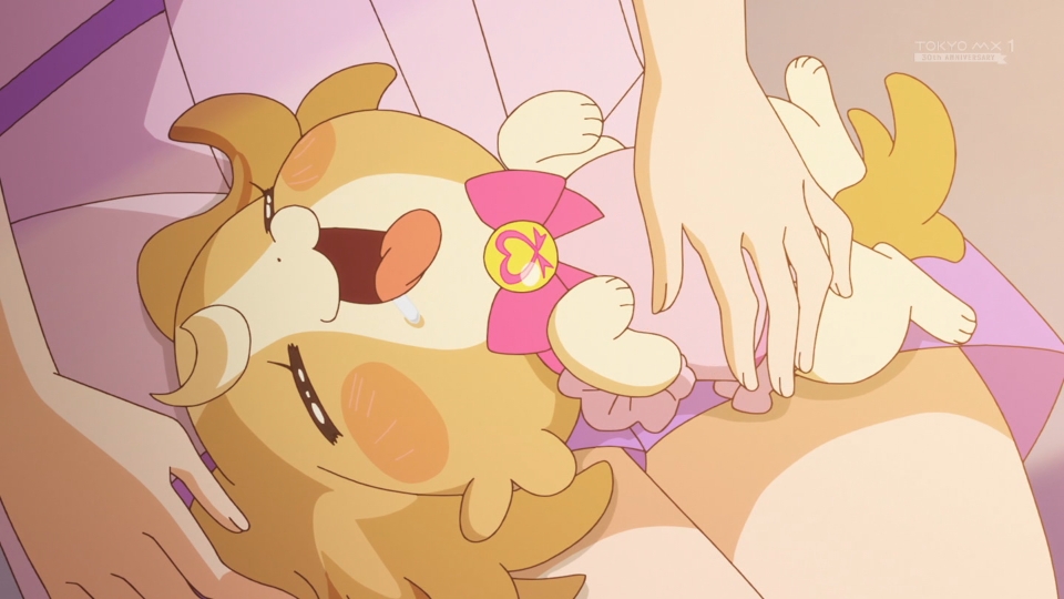 癒やし #precure #tokyomx 