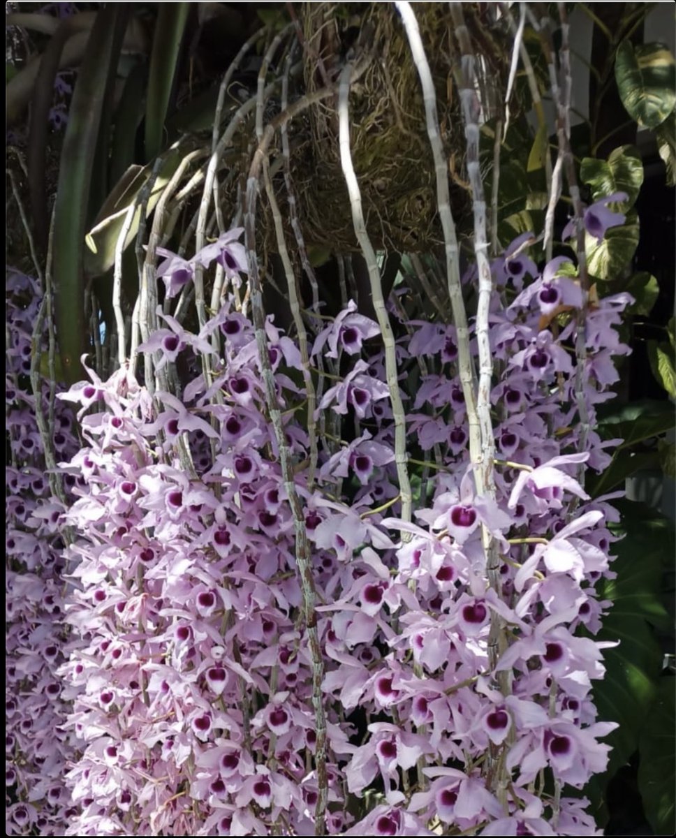 Buenos días, gracias PADRE por este día, sólo pensar ..es prueba de vida y debemos agradecer a DIOS por vivir. No hay nada en nosotros que el SEÑOR ignore, EL nos creó y mucho antes ya sabía de nosotros! Si esto no es Fe ..es esencia de ella.
Bendicenos y defiendenos del mal.