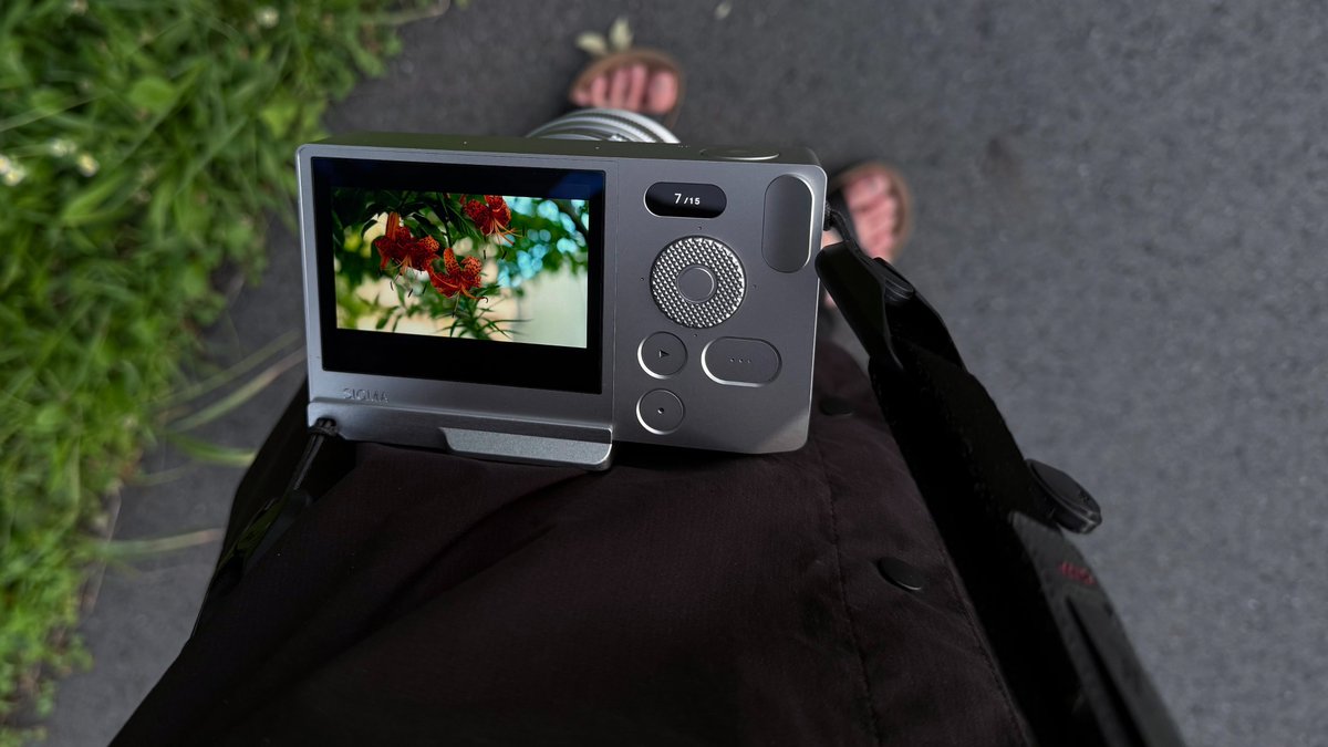 めぐま/3 スマホの中の写真を整理してる。アップしたか忘れた #SigmaBF 夏の写真