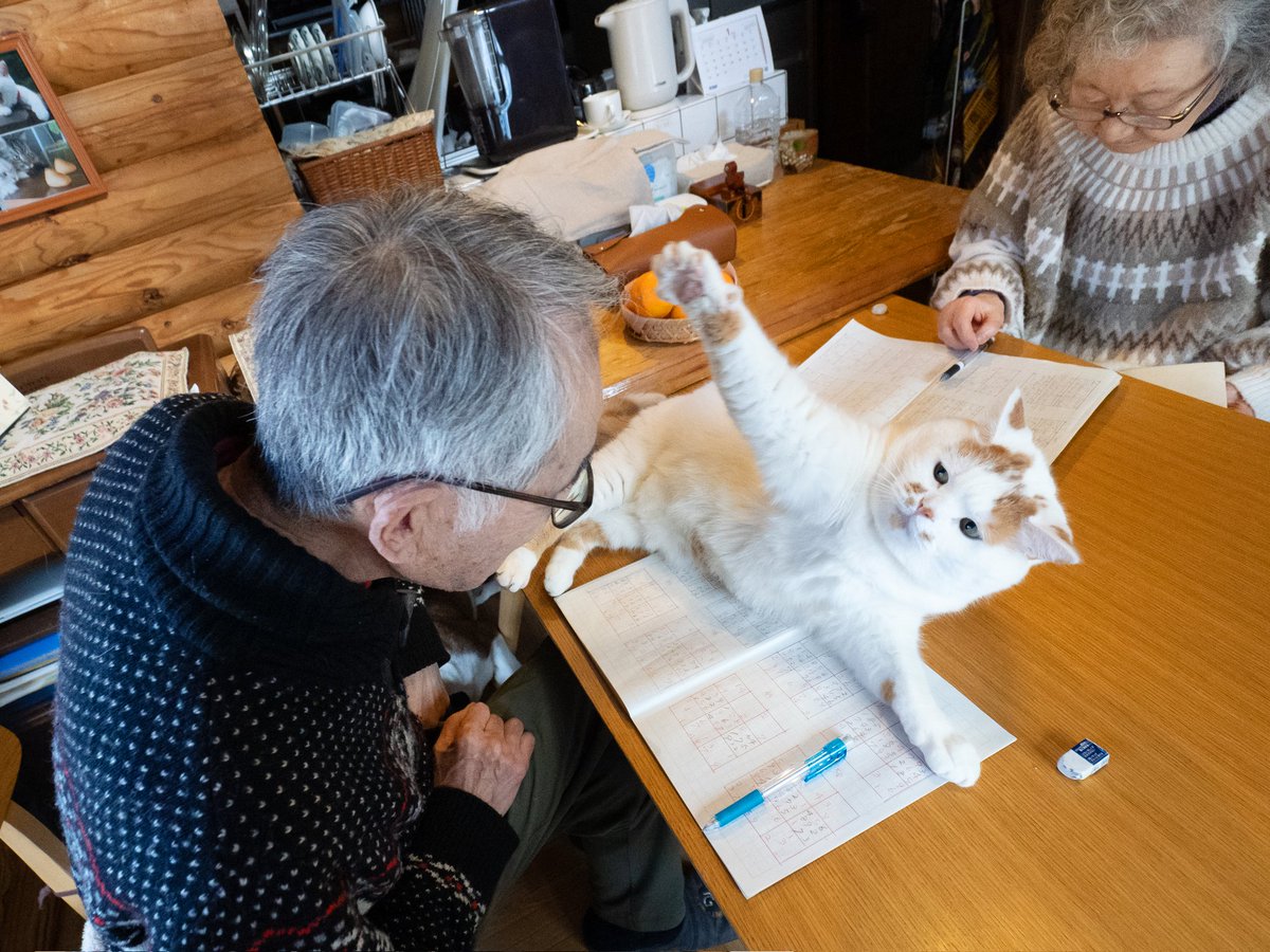 MARCO 🟡写真集「メイ先輩」🟡 (@marco74444) / Posts / X