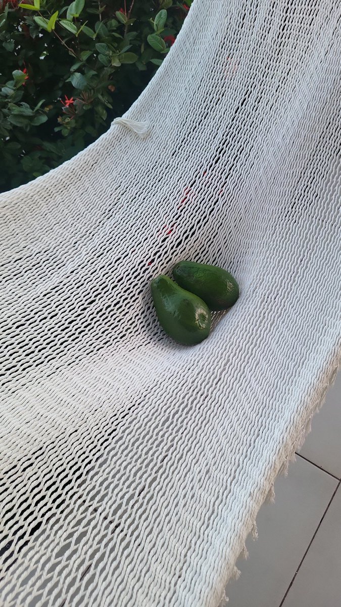 Arie Beresteanu tweet media