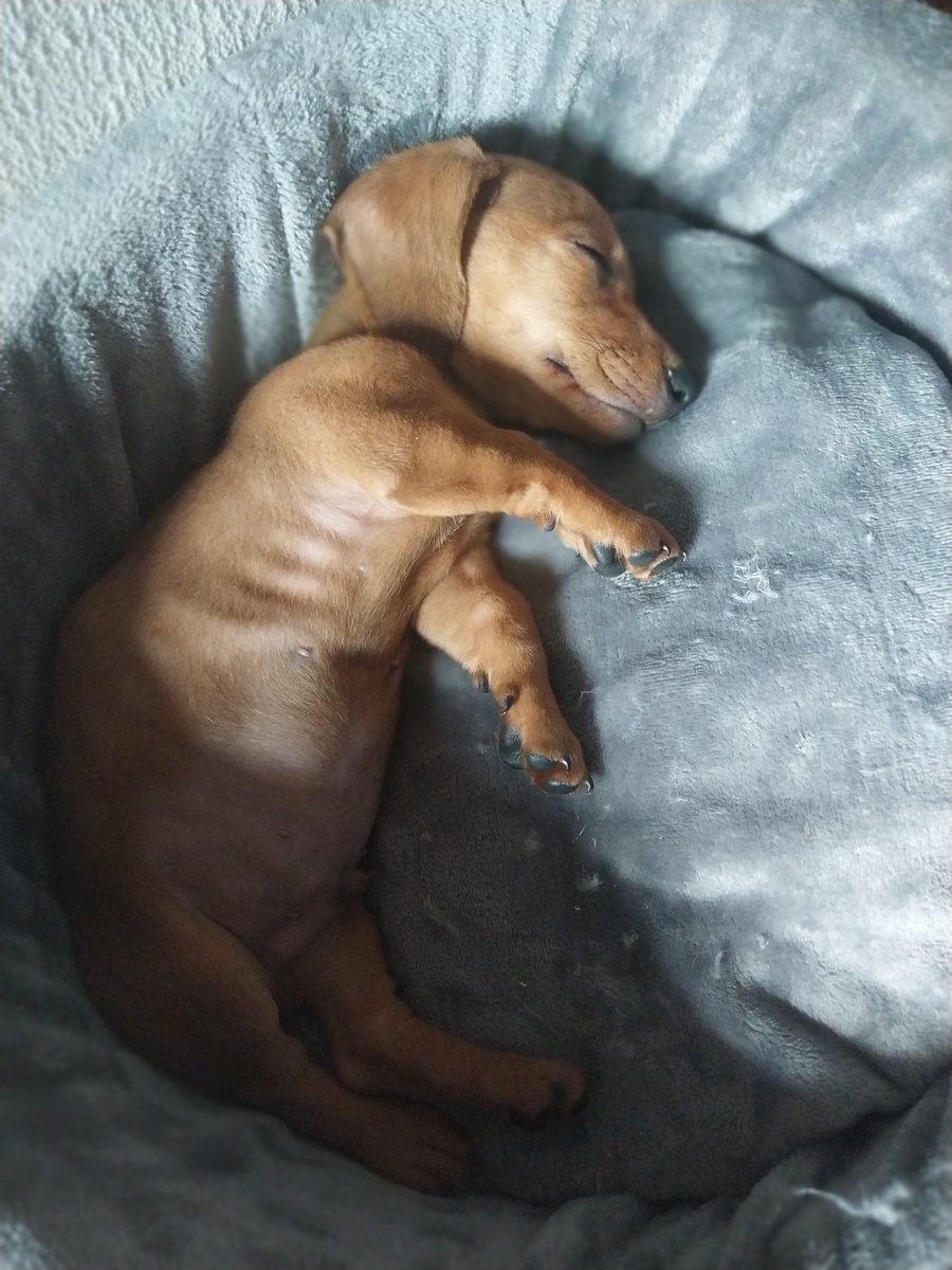 Vanina 🇦🇷❤️🖤 tweet media