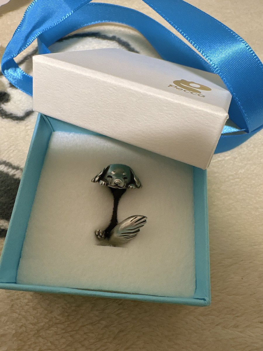 嬉しいオーダーを頂きありがとうございました✨ 可愛いワンちゃんにも