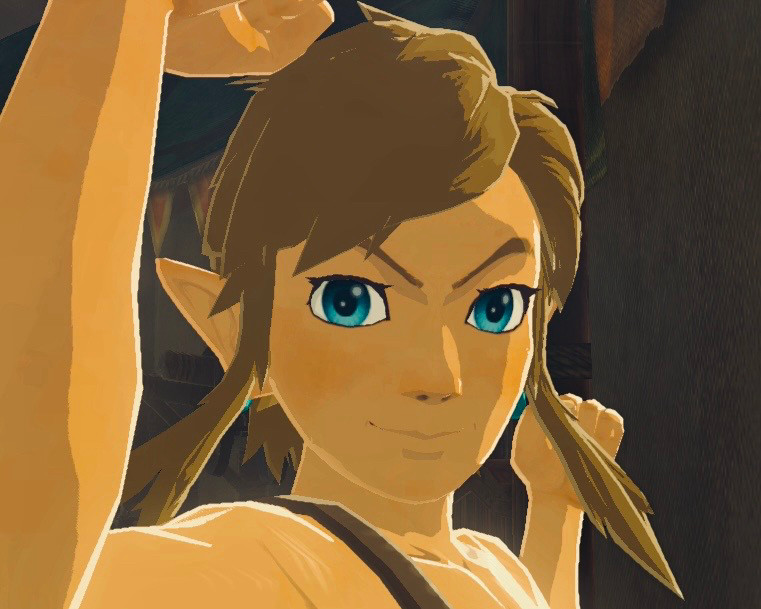 재앙없는 왕국
깨끗한 하이랄을
만들겠습니다                   떼이얏 핫! 하이얍!
30표                                 1표