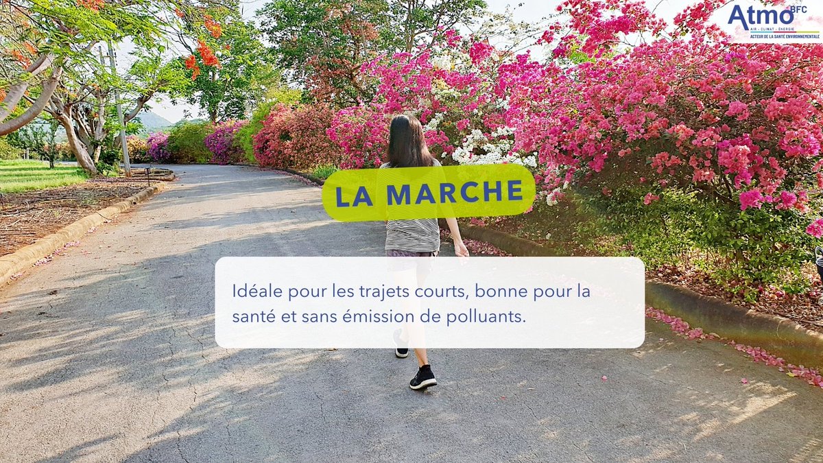 Atmo BFC tweet media