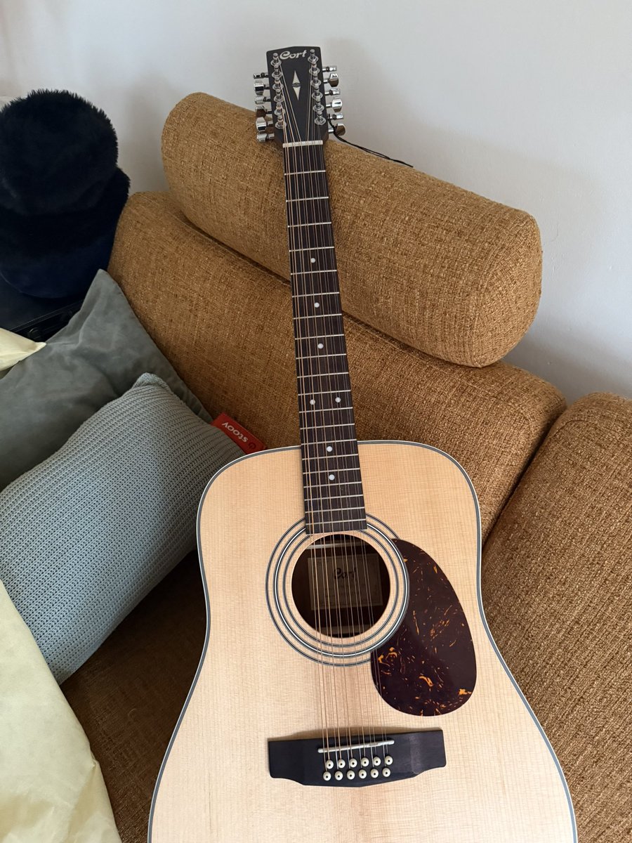 SeboStam's tweet image. Mijn lokale gitaarwinkel gaat stoppen heb toch ff een 12 string met korting gecopped