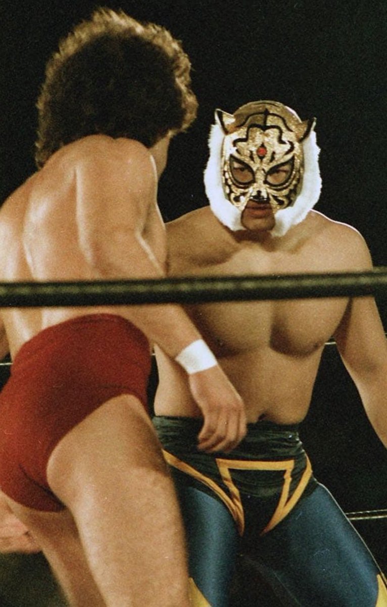 タイガーマスク試合用ヤジリ三沢バージョン タイガーマスク試合用ヤジリ三沢バージョン タイガーマスク マスク