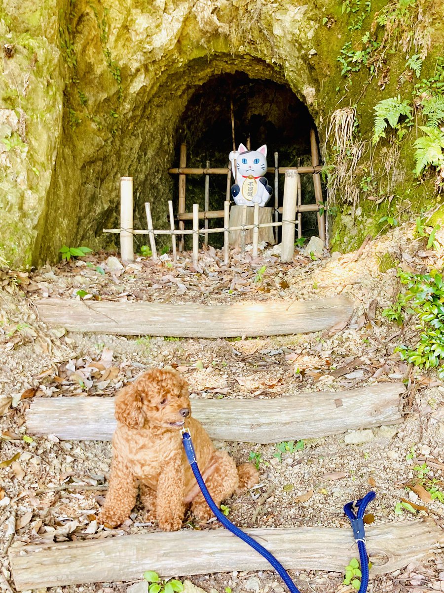 えるもさま確認ページ♡ めるも「ボク うぃん、弟はエア 妹はエイル よろしくね