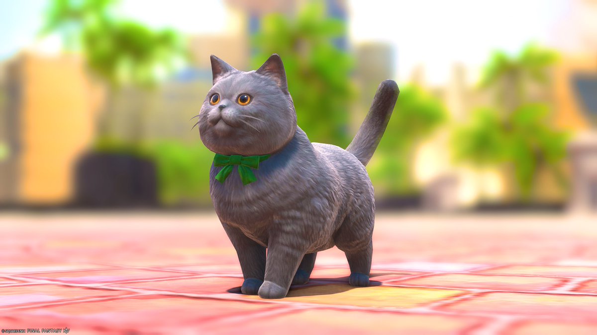 mofu_FFXIV's tweet photo. か、かわいい〜〜〜🥰
ぽちゃぽちゃしてる https://t.co/6757SCWV5K