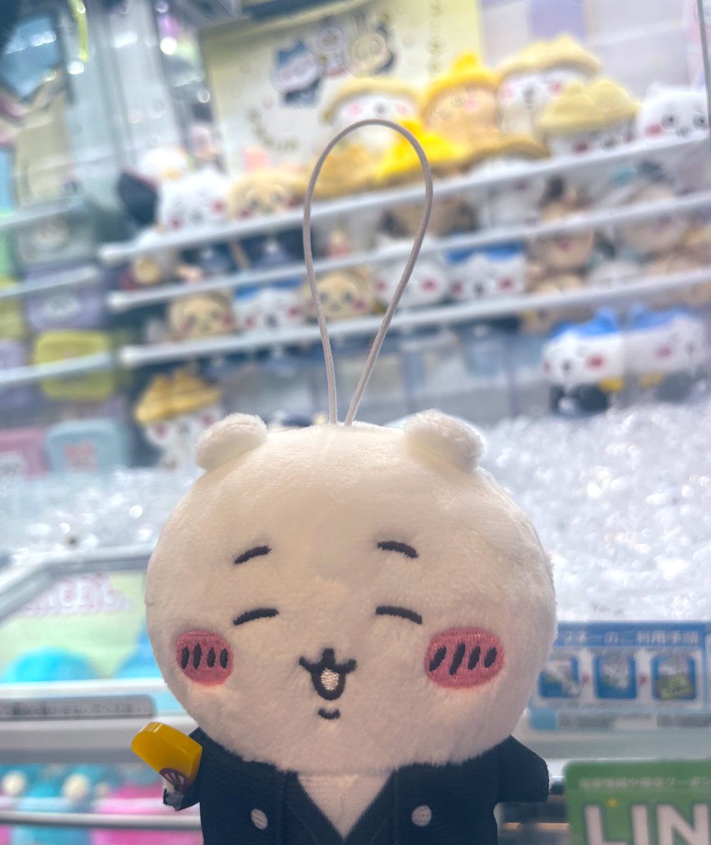 まるぽよ (@maru_poyon) / Posts / X