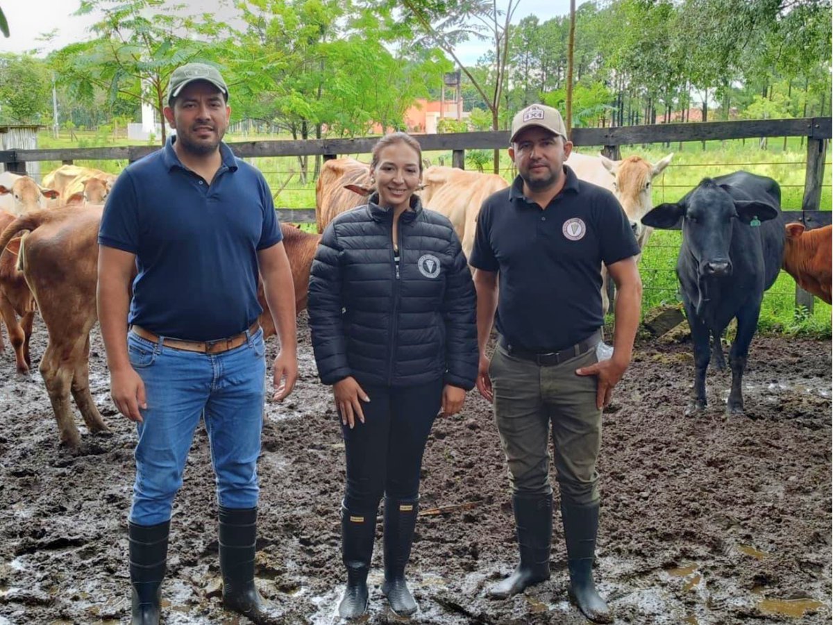 LA FCV UNA CAAZAPÁ IMPULSA MEJORAS GENÉTICAS BOVINAS CON BIOTECNOLOGÍA REPRODUCTIVA
Nota completa: vet.una.py/?p=9601
#SomosDeLaUNA #SomosVete #FCVUNA