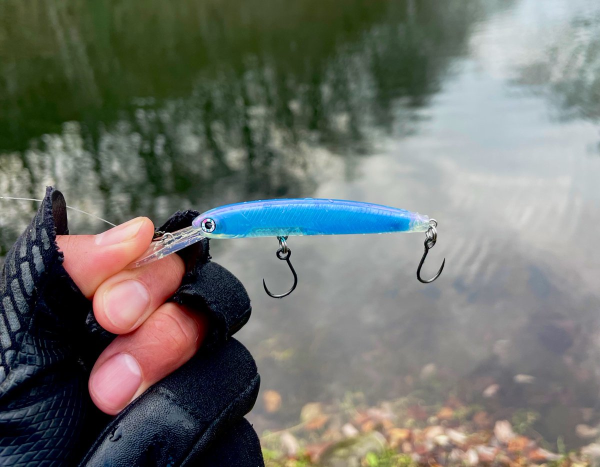 Jyubei (@GumGlueWajo) / Posts / X