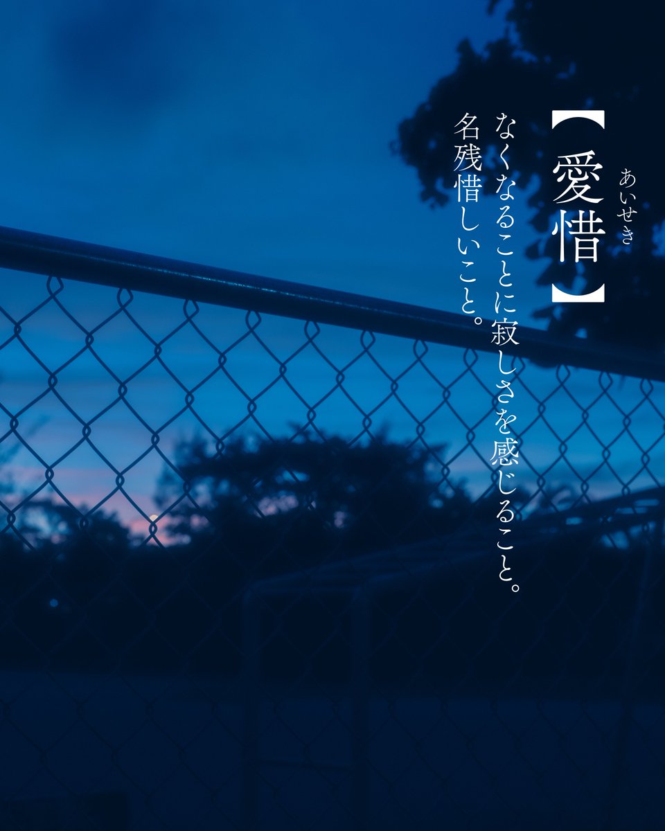 浅夏レイ -言の葉収集家- tweet media