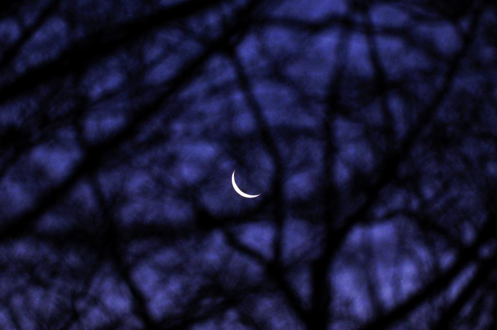 Dear 月夜丸 今朝、夜明け前の東の空に下弦の三日月。SIGMA fp L ＋ 200mmF2 DG ＋