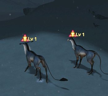 TWO OF THEM

TWO        HAVE APPEARED!!!!