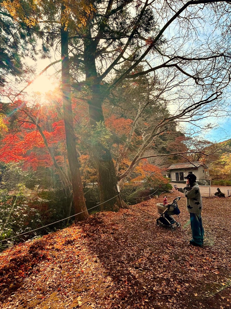 Dreamcase tweet media