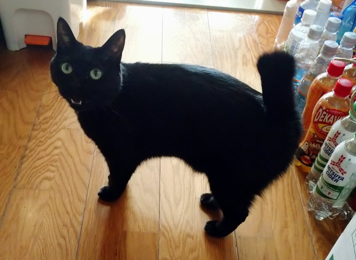 これが元のお写真たち(´・ω・)