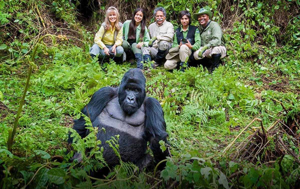 Visit_UG's tweet photo. 18 DAYS CLASSIC CHRISTMAS HOLIDAY IN UGANDA: 

For our 18 Days, Classic Christmas Holiday Experience in Uganda, kindly visit https://t.co/RuovneVtc6

cs@visiteuganda.com | Call/Whatsapp/Call +256778307060/755200004

Until you have been to Uganda, you will not have been to Africa https://t.co/DZQkbCrmD8