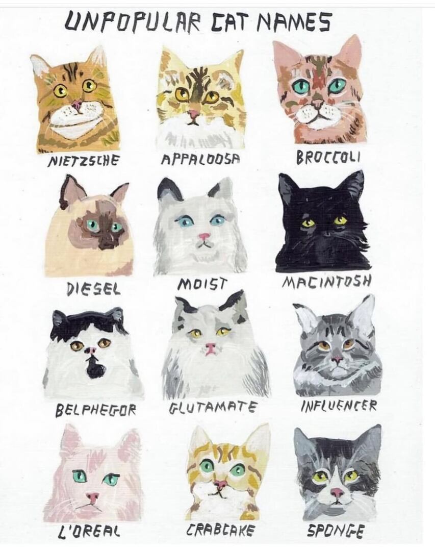 pulpbrotherart's tweet photo. #cats #catnames https://t.co/5Z64yacoJb