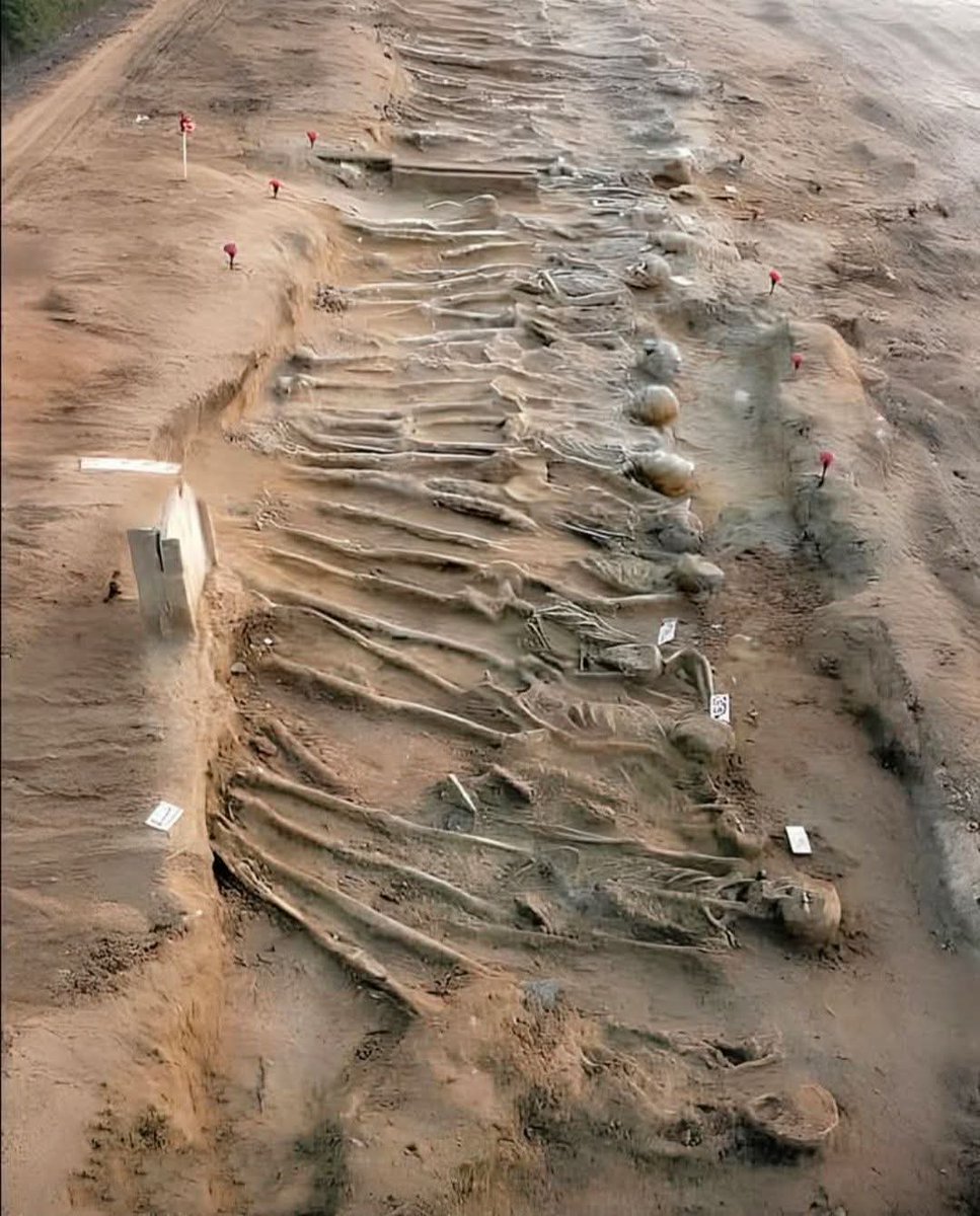 The skeletal remains discovered at this site are those of Greek warriors who participated in the Battle of Himera in 480 BC, located near modern-day Palermo, Sicily - Italy 🇮🇹 On that