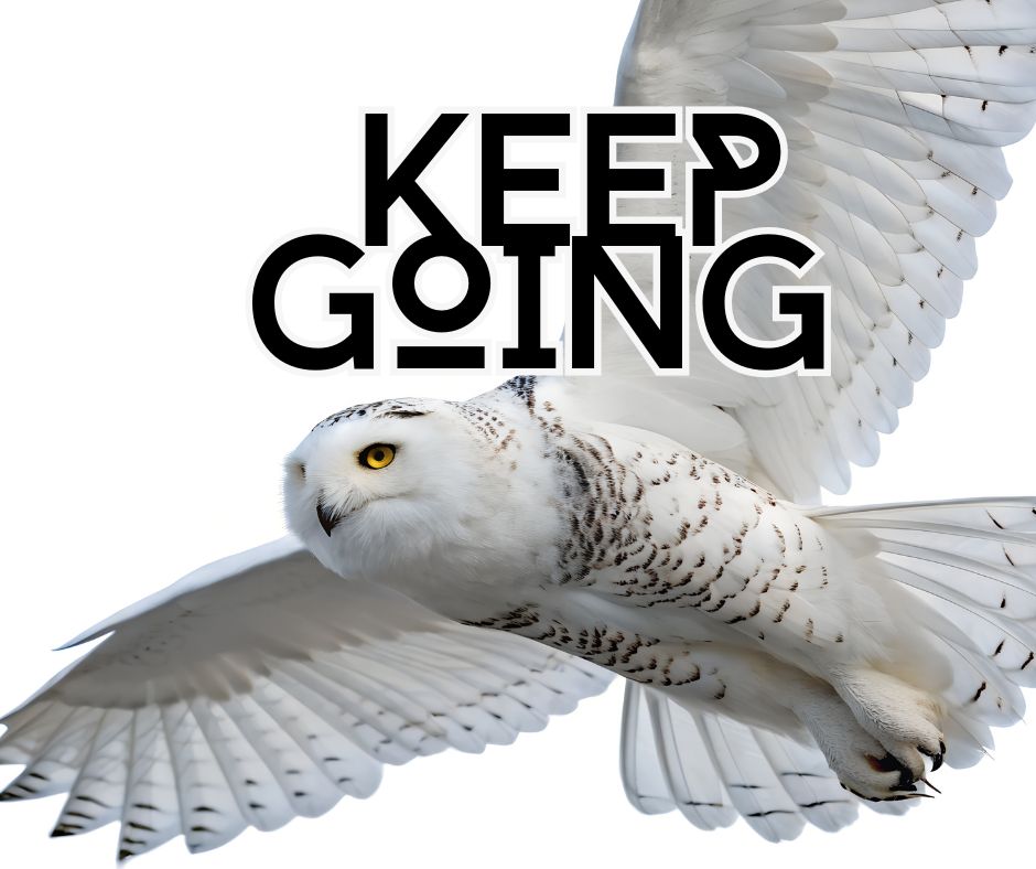 luminouslife333's tweet photo. The Push; Keep Going! 

She has disappeared. Once, she lived out there to be seen.  Yet over the preceding years she has walked herself inward. She, was never really actually seen by many or even a few.  For most, do not actually see.  

https://t.co/CsPF5Jfxxx https://t.co/dKv40RX2FO