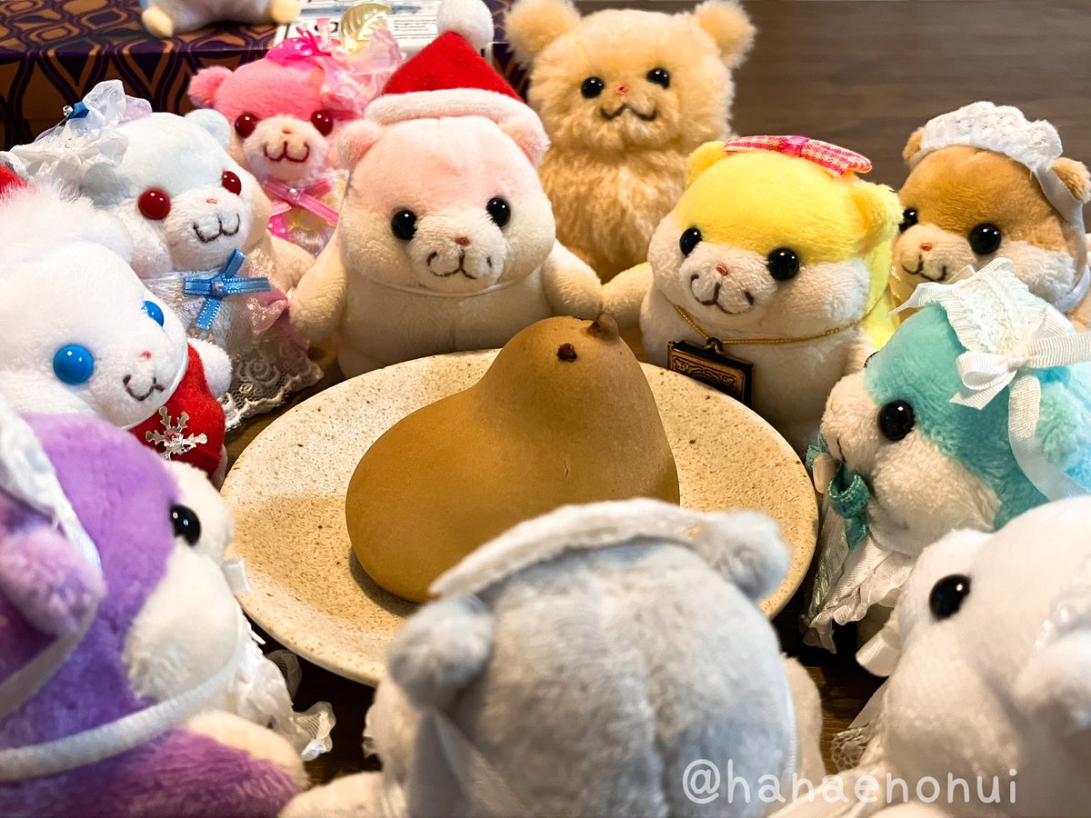 はなえのぬいぐるみ (@hanaenonui) / Posts / X