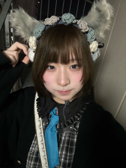 Cafe＆Bar けもみみ