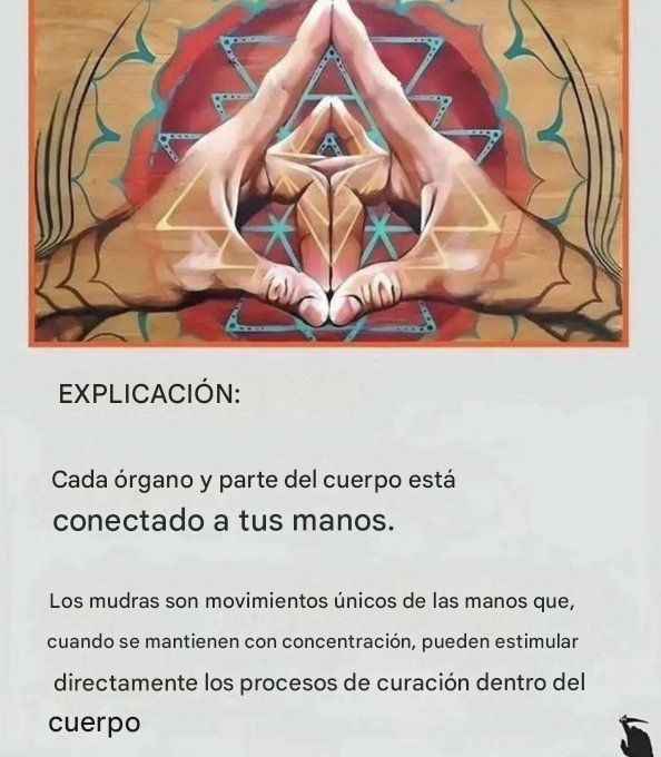 Cristian Medina tweet media