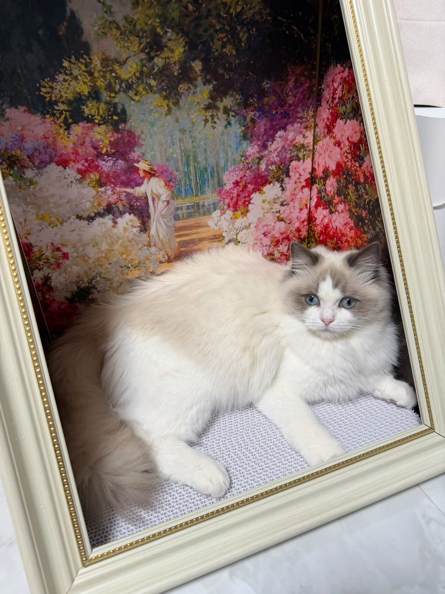 これバリ楽しいです