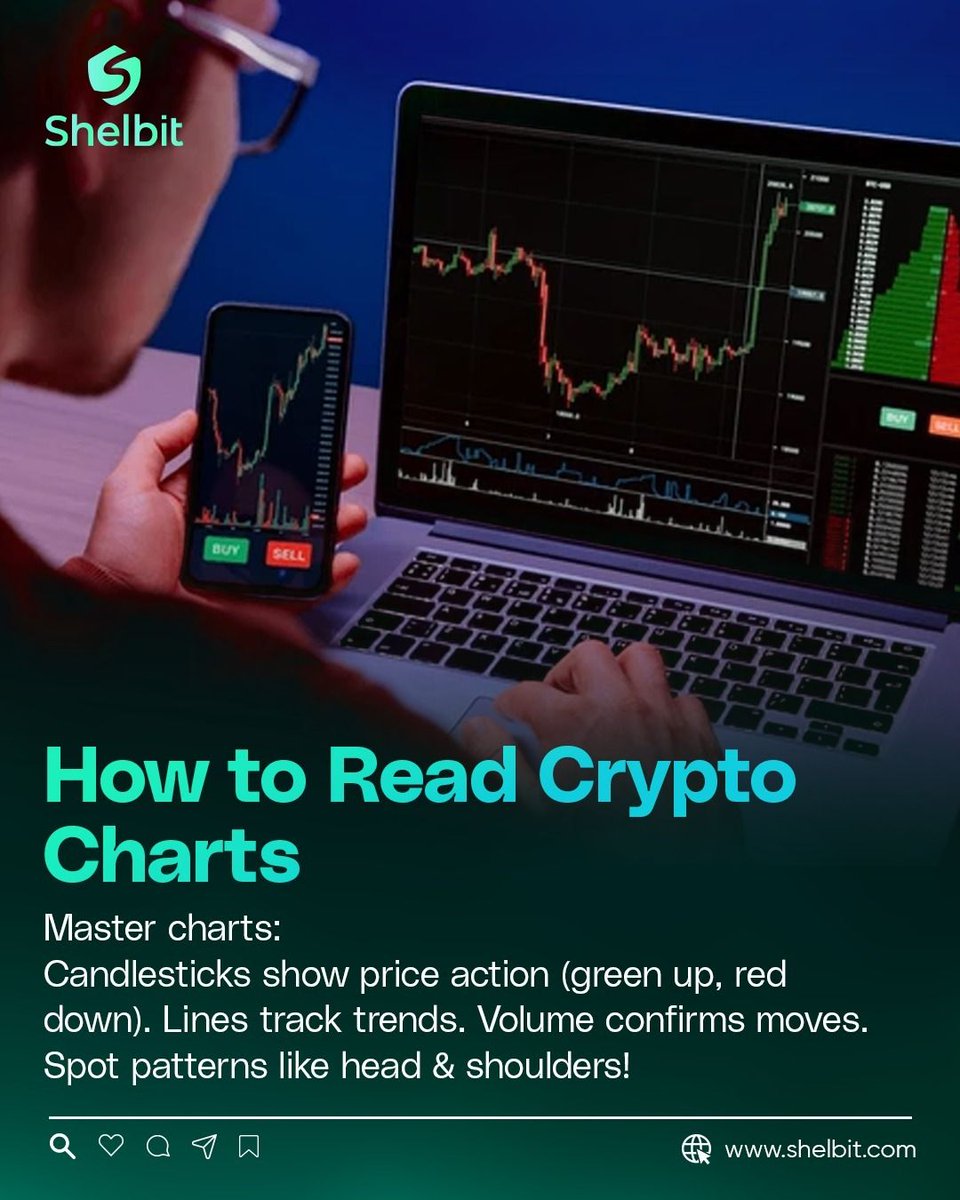 Shelbit tweet media