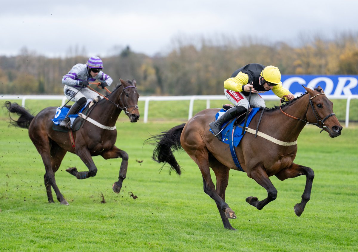 RPWeekender's tweet image. 🗣️ "He’s just developing very nicely – he’s still got plenty to learn but he’s got an awful lot of raw ability."

The @tlawes23 yard are starting to click into top gear. You can read all about the exciting Klimt Madrik, and the rest of Toby's team, in this week's @RPWeekender!