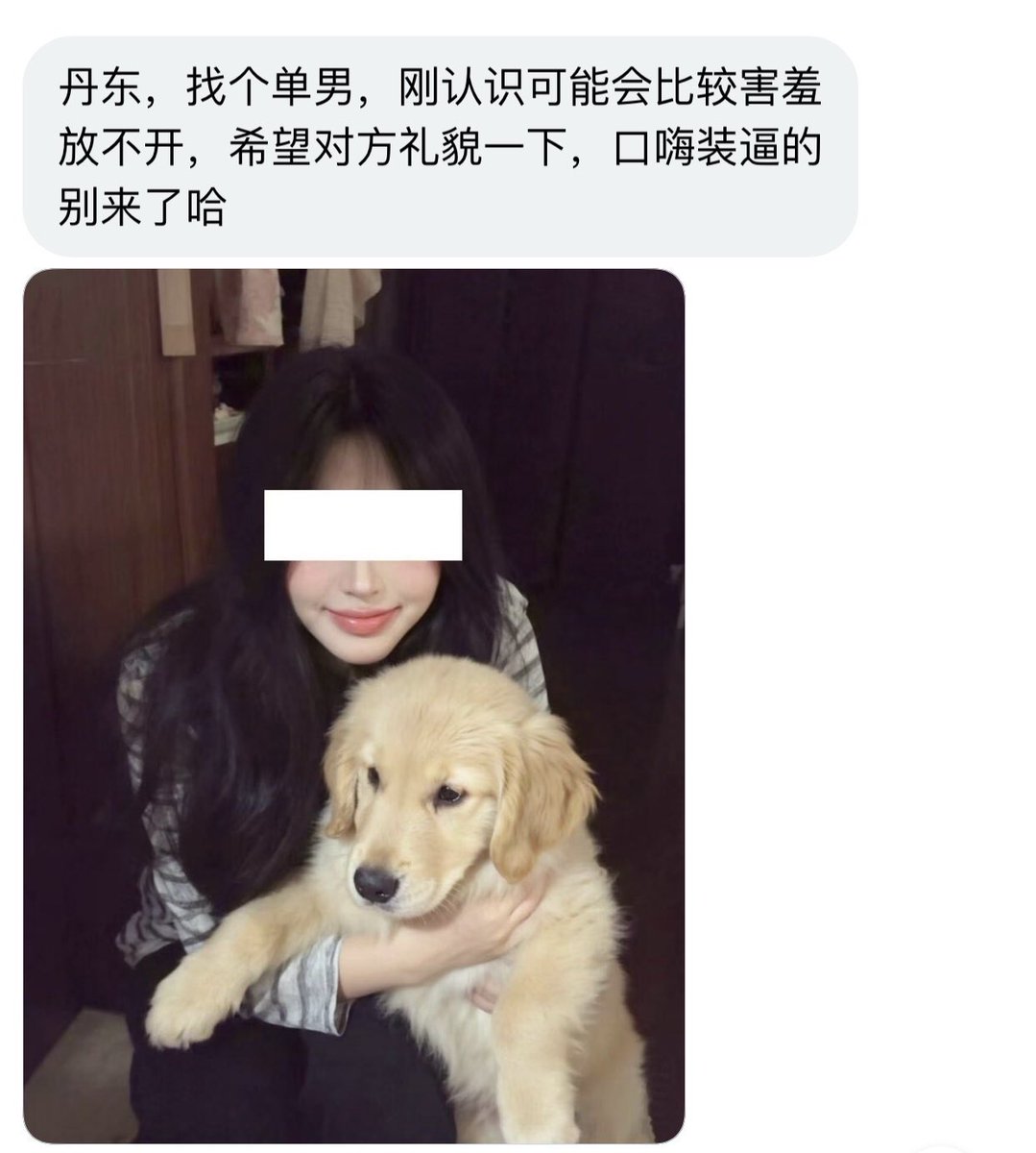 东北字母墙 tweet media