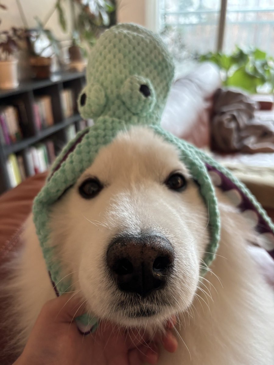 문어외계인이 잡아가는중