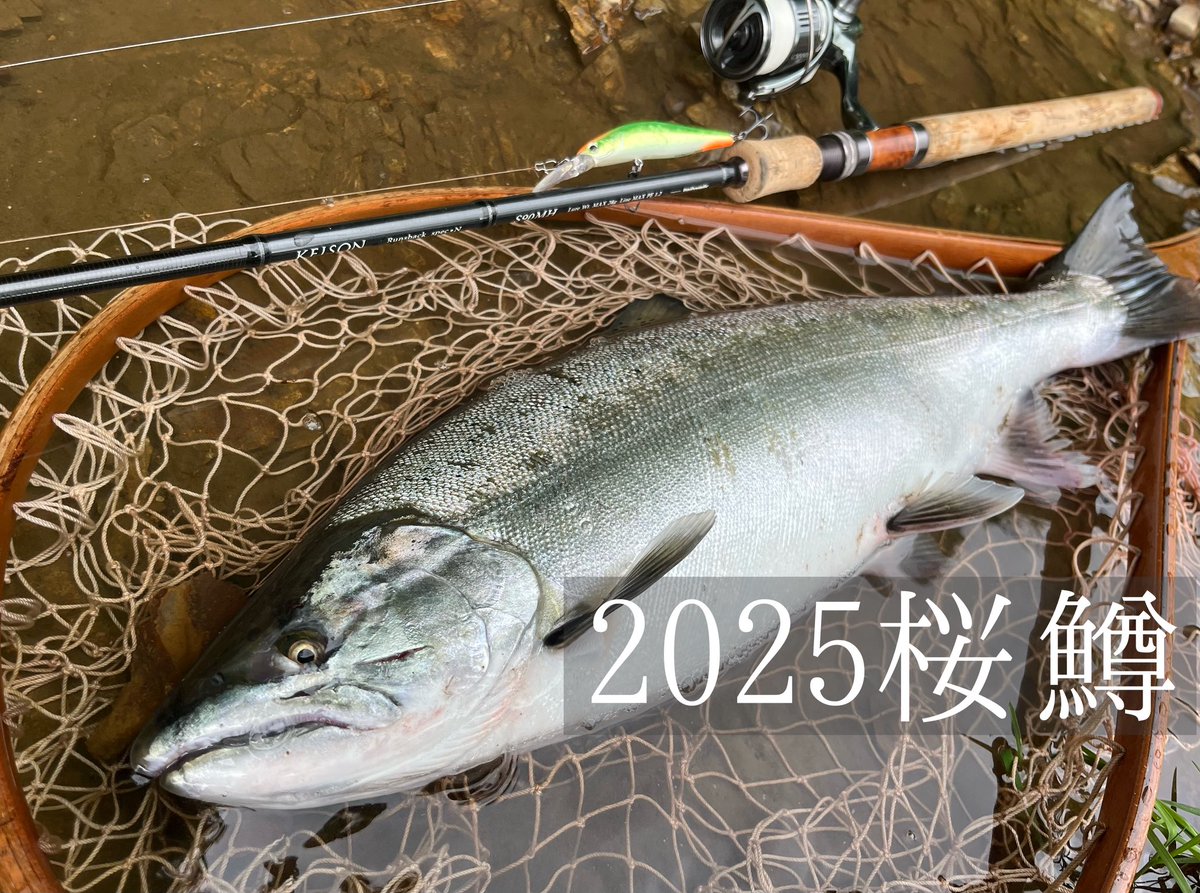 マサ (@masadaden) / Posts / X