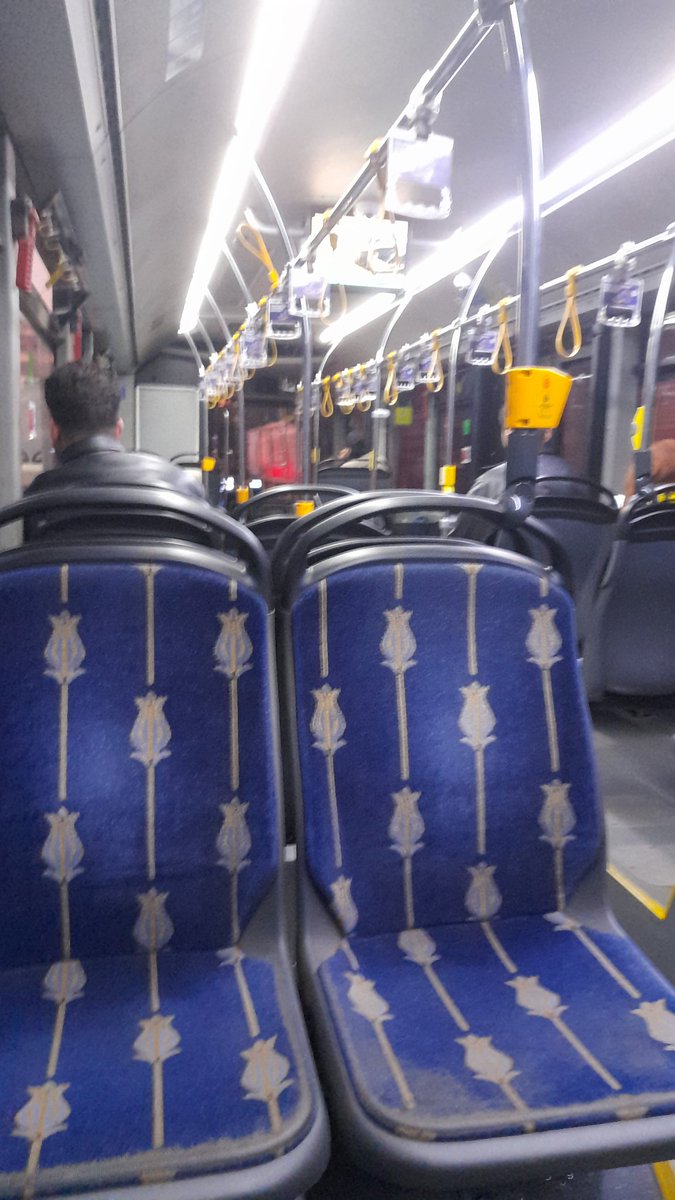 2025 seyahat özetim.