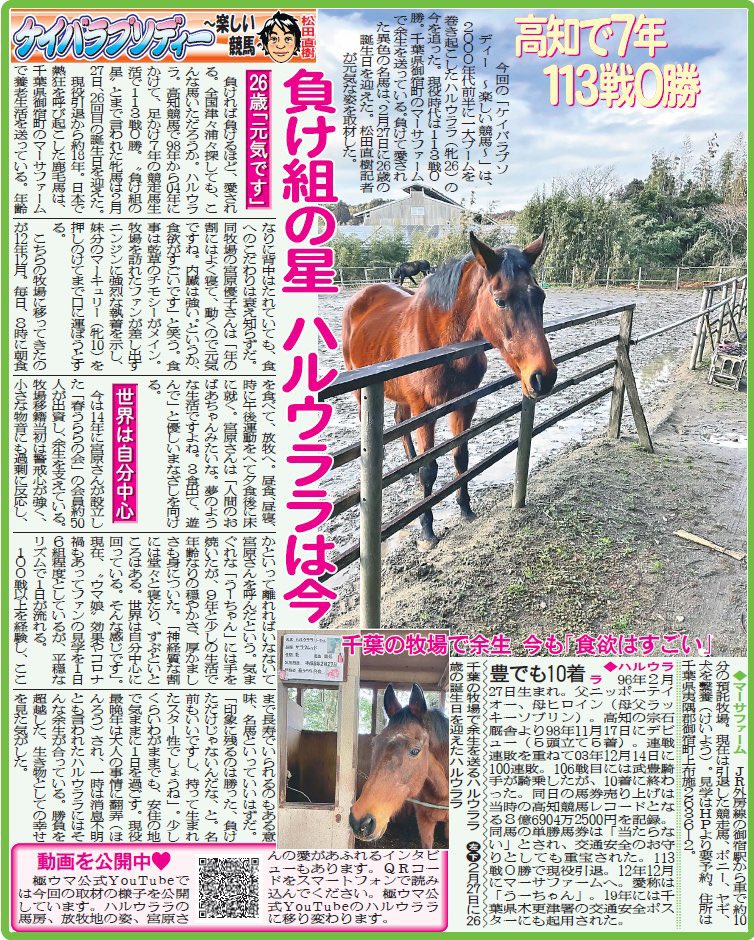 GLASSWONDER70's tweet photo. アンビリバボーでハルウララ特集やってるー！！！！！！！
#競馬好きな人と繋がりたい 
#ウマ娘好きと繋がりたい 
#ハルウララ https://t.co/PEzj0S9q8I