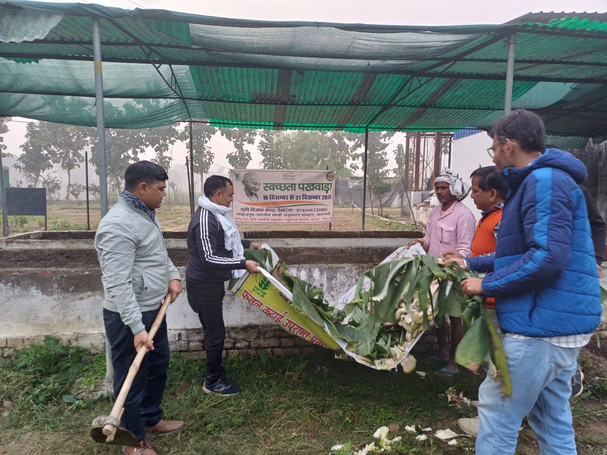 AnkurSharm44327's tweet photo. "Swachhata Pakhwada" 16th to 31st December, 2025 at ICAR-IIVR- Krishi Vigyan Kendra, Deoria

Day 2, Cleanliness drive and awareness regarding Vermicomposting towards "Waste to wealth"
@IivrUp @icar_iivr @IcarKanpur https://t.co/owFwJ84zOy