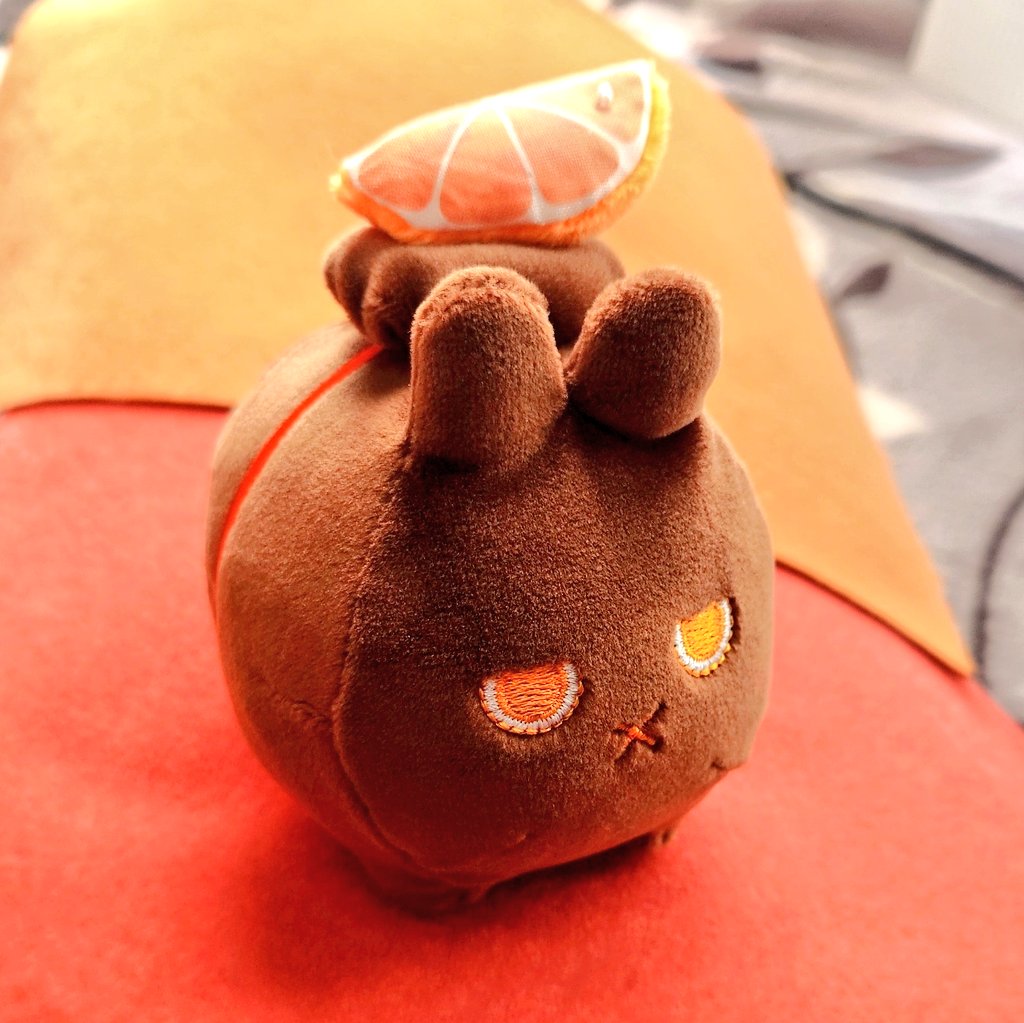 おれんじうさぎ IMG_5819-2-scaled.jpg