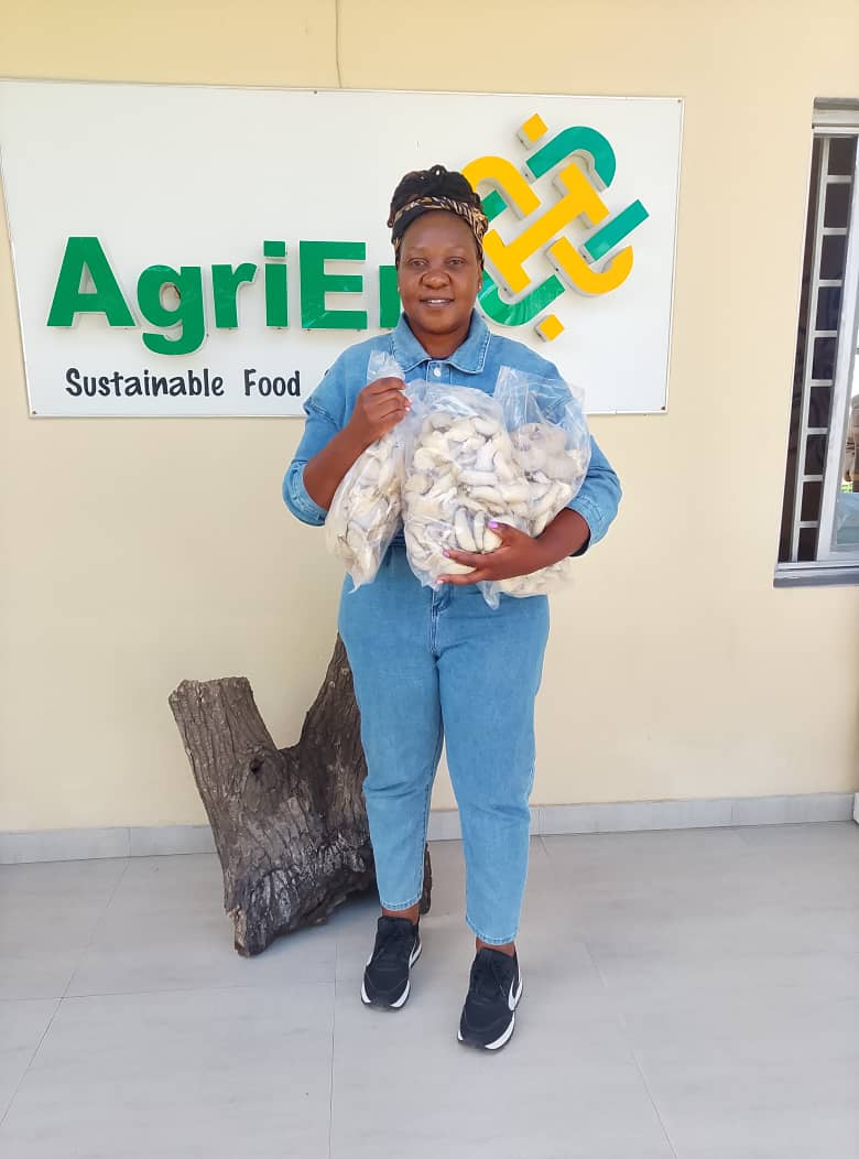 🌱 New opportunities across Zambia’s agribusiness ecosystem - mushroom production, beetroot farming, seed systems, THRIVE2030 initiatives &amp; more.

👉 Full update: mailchi.mp/e23e15e55a91/n…