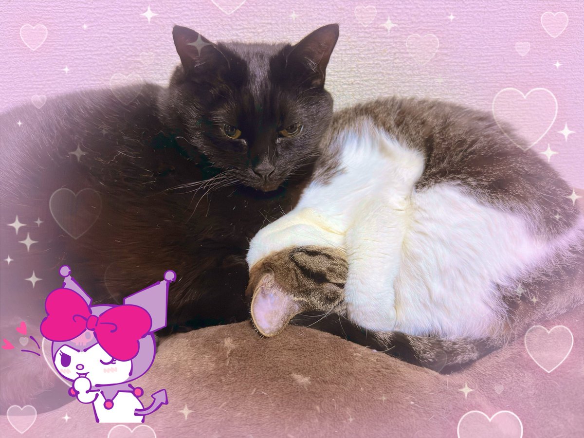 あちゅ❦😈ིྀ🎀ིྀ (@achu_66) / Posts / X