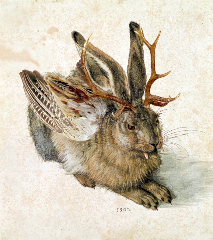 jaot's tweet photo. @Gosleepriya The Wolpertinger https://t.co/j8YnTNm1CQ