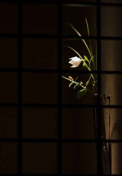 NSaliverou's tweet image. Equilibrium between the unpredictables,,,
 ,,,
#moments #images