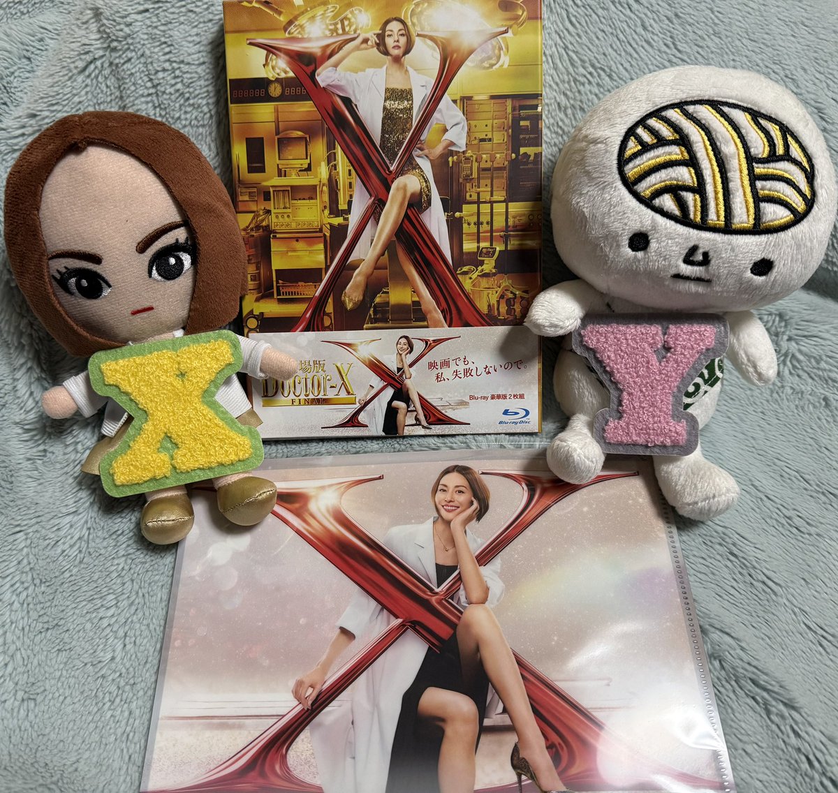 未知子ちゃん、ようこそ我が家へ🫶 これから先もずーっと一緒