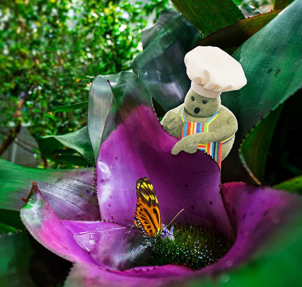 StopMotionMagazine tweet media