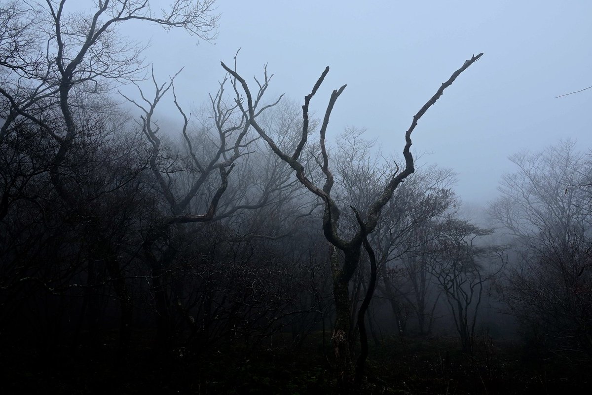 8703photography's tweet image. 