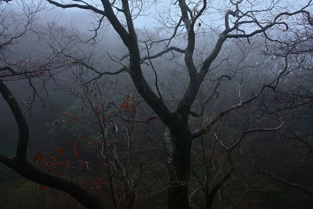 8703photography's tweet image. 