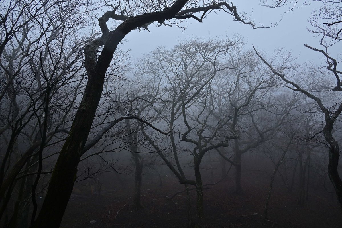 8703photography's tweet image. 